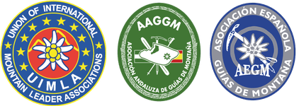 Qualifications Felipe Nieto Conejero